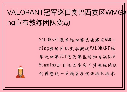 VALORANT冠军巡回赛巴西赛区WMGaming宣布教练团队变动